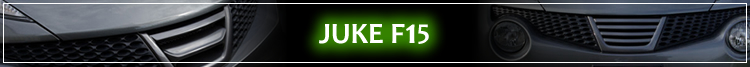 JUKE F15